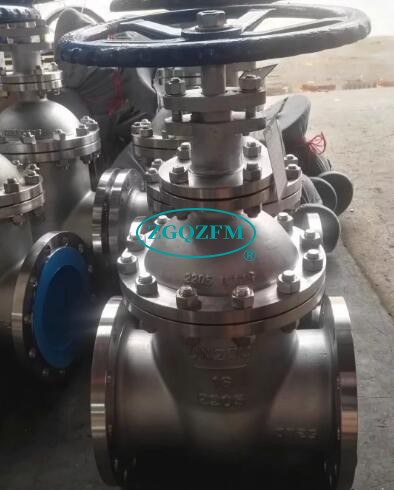 2205双相钢暗杆法兰闸阀